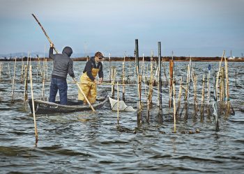 L’Ajuntament clausura la setmana de promoció de la pesca artesanal a la ciutat amb un balanç positiu