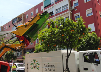 Arreplegada de taronges