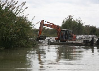 Devesa-Albufera trau a licitació la neteja i conservació dels canals i séquies del llac