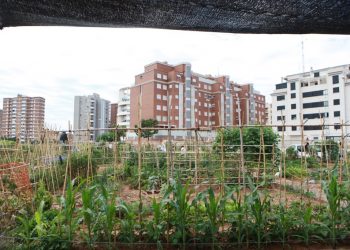 Medi ambient llançarà al maig la convocatòria per a l’adjudicació dels horts urbans de Malilla i la Rambleta