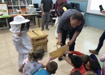 La regidoria de parcs i jardins dóna inici als tallers de ‘les abelles van a escola’