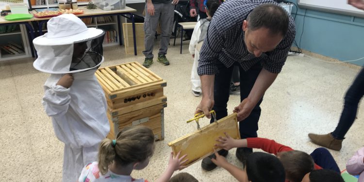 La regidoria de parcs i jardins dóna inici als tallers de ‘les abelles van a escola’