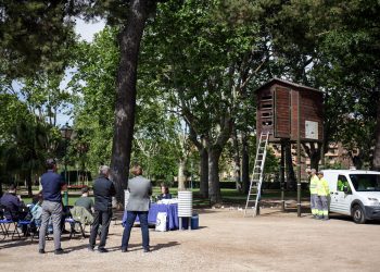 La regidoria de benestar animal llança una campanya de control numèric i sanitari de l’avifauna de València