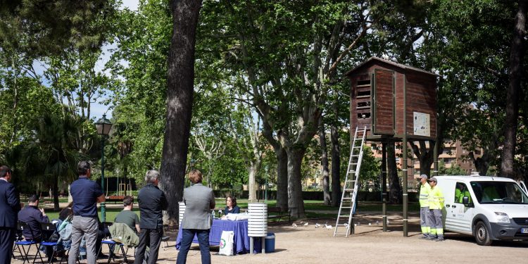 La regidoria de benestar animal llança una campanya de control numèric i sanitari de l’avifauna de València