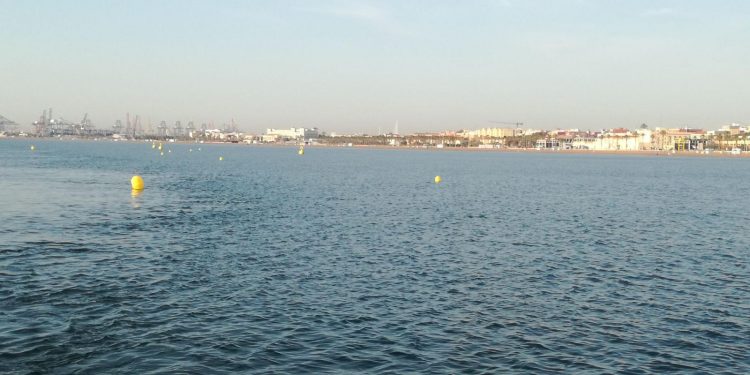 L’Ajuntament instal·la, per primera vegada, un canal per practicar natació a la platja de la Malva-rosa