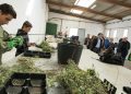 L’Escola de Capatassos de la Diputació organitza la I Fira Professional Agrícola i de Jardineria