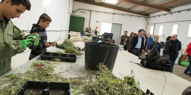 L’Escola de Capatassos de la Diputació organitza la I Fira Professional Agrícola i de Jardineria
