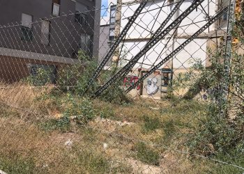 Ciutadans denúncia la falta de salubritat d’un solar en el carrer Guillem Sorolla