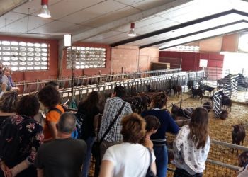 L’Ajuntament participa a un projecte life per l’elaboració d’alimentació animal amb palla d’arròs i restes de cítrics