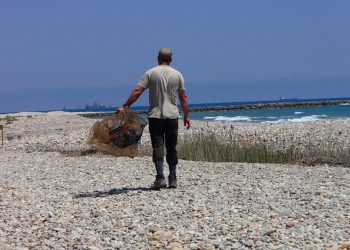 Els 200 fartets alliberats febrer passat a la Desembocadura del Millars ajuden a combatre les plagues de mosquits