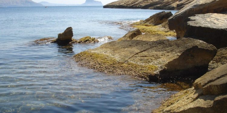 Serra Gelada ultima el Pla Rector d’Ús i Gestió del Parc Natural i el seu entorn