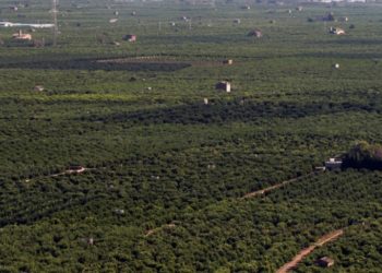 La UPV I LAS Naves coordinen el codisseny d’un pla d’adaptació de l’horta valenciana al canvi climàtic