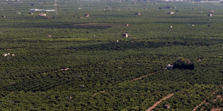 La UPV I LAS Naves coordinen el codisseny d’un pla d’adaptació de l’horta valenciana al canvi climàtic