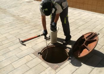 Els tractaments contra plagues d’insectes que porta a terme la delegació de Sanitat continuen la setmana pròxima