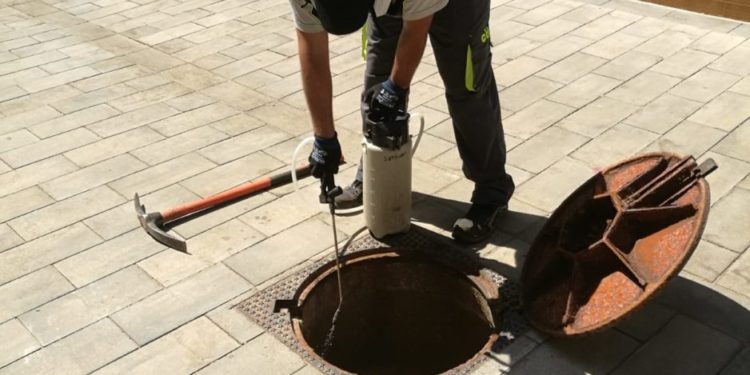 Els tractaments contra plagues d’insectes que porta a terme la delegació de Sanitat continuen la setmana pròxima