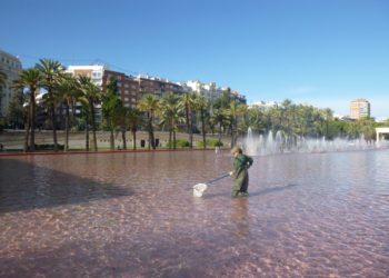 L’ajuntament aprova una oferta pública d’ocupació per a l’organisme autònom de parcs i jardins de 6 places de peons especialistes