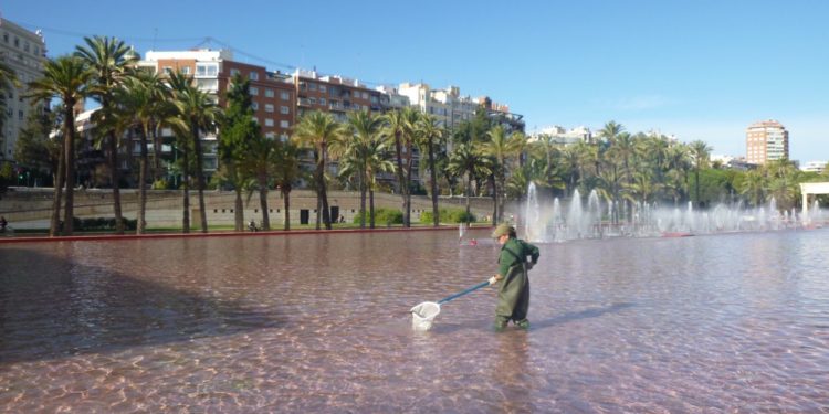 L’ajuntament aprova una oferta pública d’ocupació per a l’organisme autònom de parcs i jardins de 6 places de peons especialistes