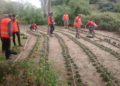 L’ajuntament oferta cursos de jardineria, art floral  i medi ambient a través de l’organisme autònom de parcs i jardins