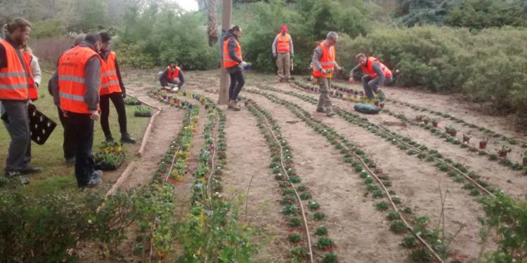 L’ajuntament oferta cursos de jardineria, art floral  i medi ambient a través de l’organisme autònom de parcs i jardins