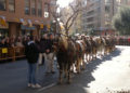Festa plena per a Sant Antoni del porquet