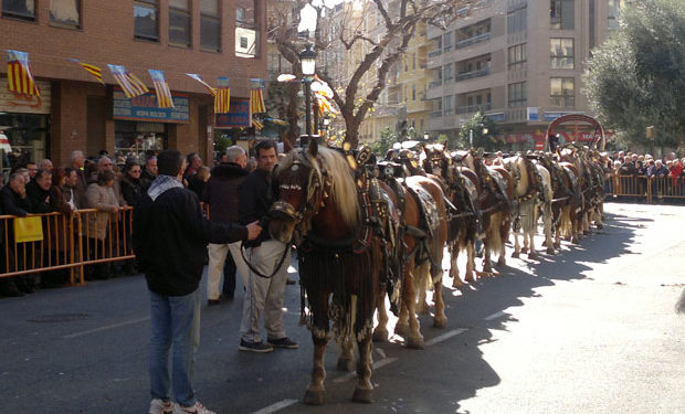 Festa plena per a Sant Antoni del porquet