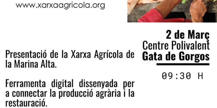 Presentació de la nova ferramenta digital “EL MERCAT EN XARXA”