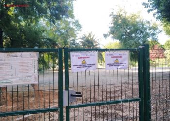 València reobri les zones de socialització de gossos coincidint amb el pas de la ciutat a la fase 1 de l’estat d’alarma per la covid-19