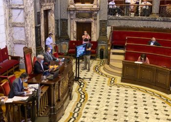 València sol·licita la creació d’una figura «per defensar les generacions futures i garantir-los un món més just i sostenible»