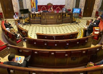 El ple convalida les modificacions de crèdits extraordinaris per a fer front a la pandèmia de covid-19