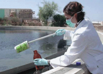 València inicia la recollida de 24 mostres d’aigua en diversos punts i pobles de la ciutat