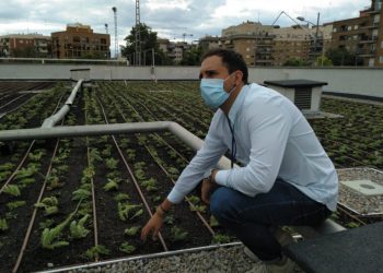 L’Ajuntament instal·la una coberta enjardinada en el centre de majors de benicalap per a millorar “la salut i el medi ambient”