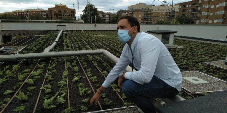 L’Ajuntament instal·la una coberta enjardinada en el centre de majors de benicalap per a millorar “la salut i el medi ambient”