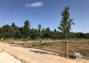 L’ajuntament inverteix més de 18.000 euros en la millora dels equipaments i l’accessibilitat dels horts urbans de la Rambleta