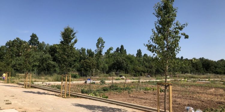 L’ajuntament inverteix més de 18.000 euros en la millora dels equipaments i l’accessibilitat dels horts urbans de la Rambleta