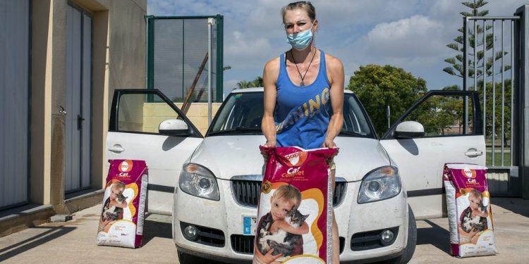 Benestar animal ja ha repartit més de 4,5 tones de pinso als col·laboradors de colònies felines de la ciutat