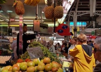 El consell local de comerç dóna llum verda al primer mercat extraordinari de fruites i hortalisses de proximitat a VALÈNCIA