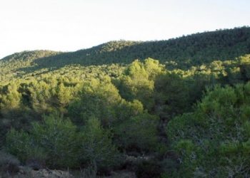 Més de 1.000 persones desocupades treballaran en tasques de conservació de les muntanyes gràcies a una subvenció de Labora