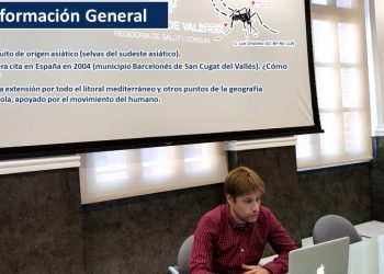 L’Ajuntament prolongarà la campanya ‘Porta a porta contra el mosquit tigre’