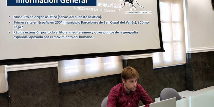 L’Ajuntament prolongarà la campanya ‘Porta a porta contra el mosquit tigre’