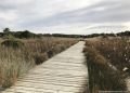 L’ajuntament encarrega els projectes per a fer accessibles els quatre itineraris nord de la Devesa