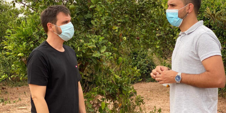 Parcel·la Cases de Bàrcena