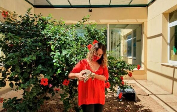 Conclouen les obres de millora del centre municipal d’Avifauna de Natzaret