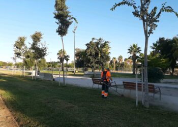 L’Ajuntament comença una intervenció integral per al manteniment de les zones enjardinades de Sociòpolis a la Torre