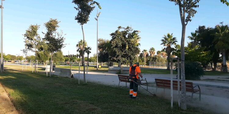 L’Ajuntament comença una intervenció integral per al manteniment de les zones enjardinades de Sociòpolis a la Torre