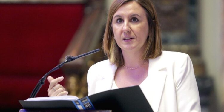 L’oposició municipal critica l’estat de la ciutat de València i la gestió de l’executiu municipal, defensada pels grups de govern