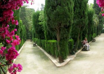Limitades a quatre persones les bodes als Jardins de Monforte de València