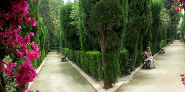 Limitades a quatre persones les bodes als Jardins de Monforte de València