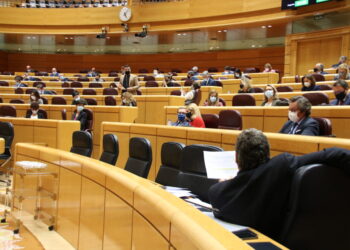 Mulet: “Escrivá miente en dir que l’IMV és un èxit quan tan sols ha reconegut 18.000 peticions en València després d’aquests mesos de crisis”