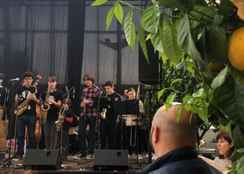 El Senat demana al Govern rebaixar l’IVA dels instruments musicals del 21 al 10% a petició de Compromís