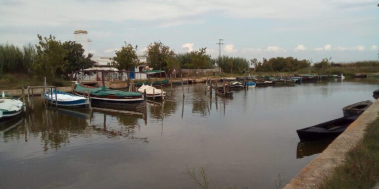 L’ajuntament sol·licita a la Generalitat la propietat del port del Saler